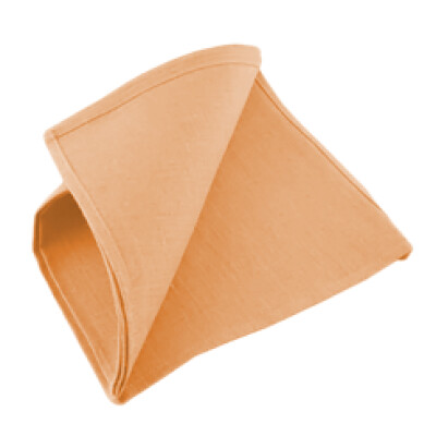 Dimension Peach Napkin