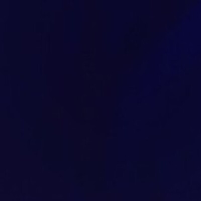 Lycra Navy