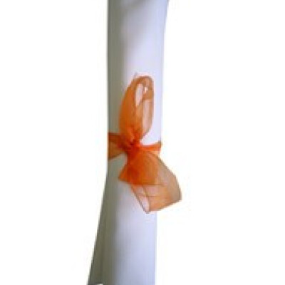 Organza Ribbon Bows Copper