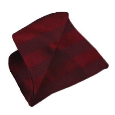 Regency Burgundy Napkin