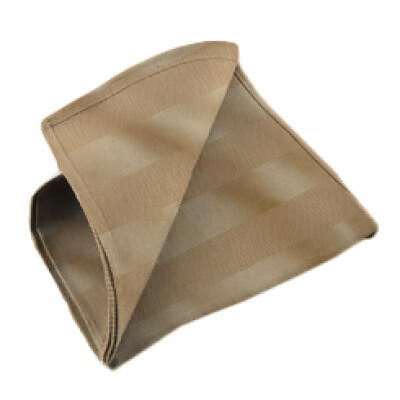 Regency Gold Napkin