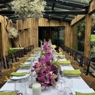 WHITE TABLE LINEN AND PISTACHIO NAPKINS