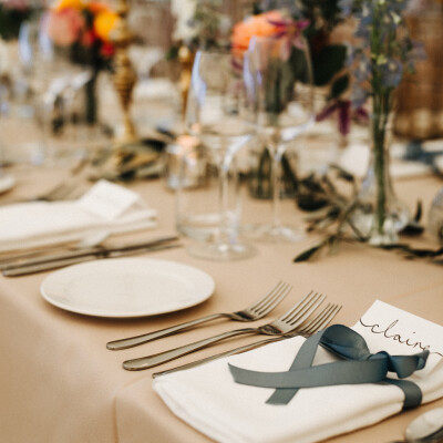 WHITE HS NAPKINS AND BISCUIT TL